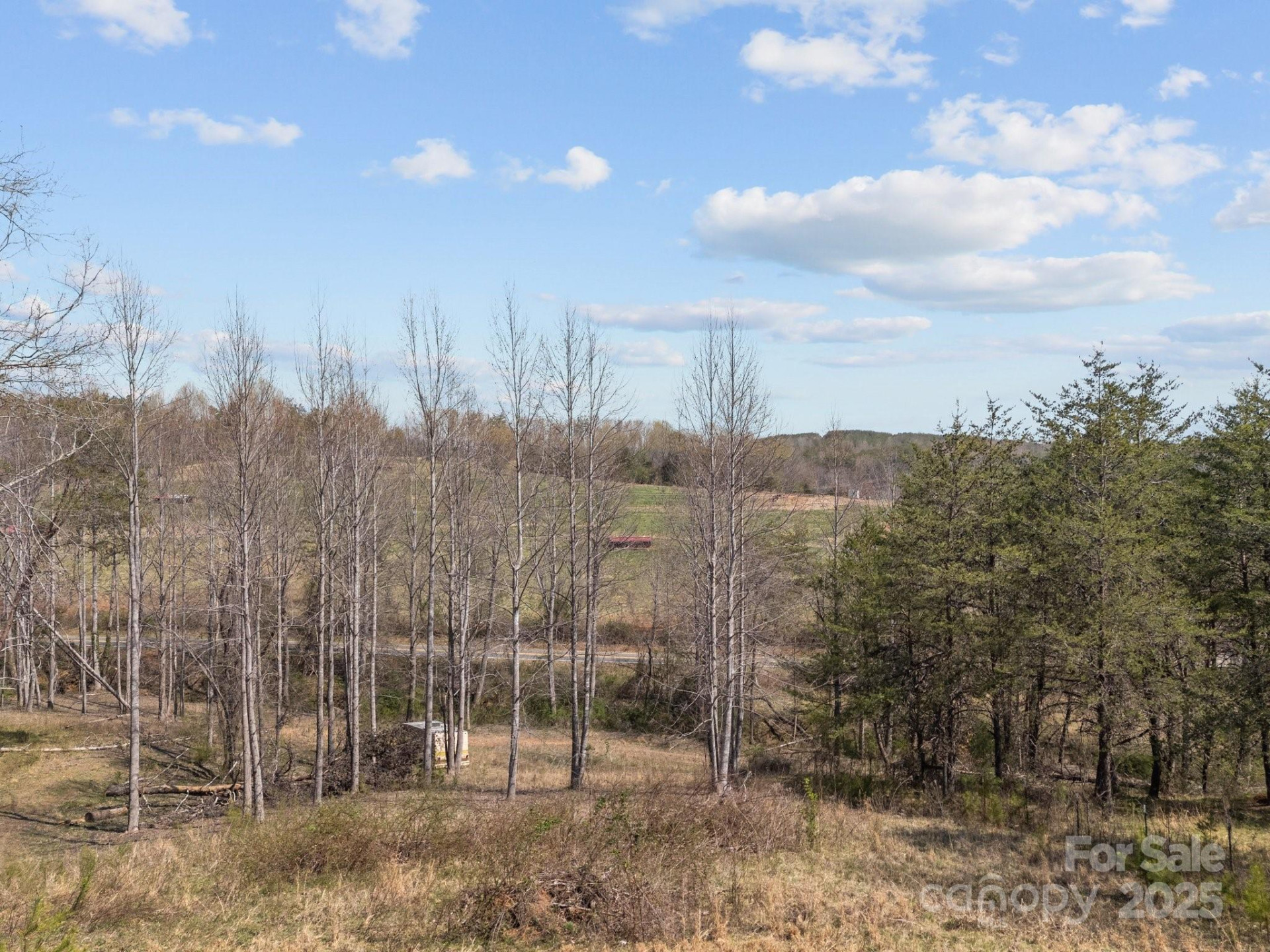 2311 Freemantown Road - Photo 11