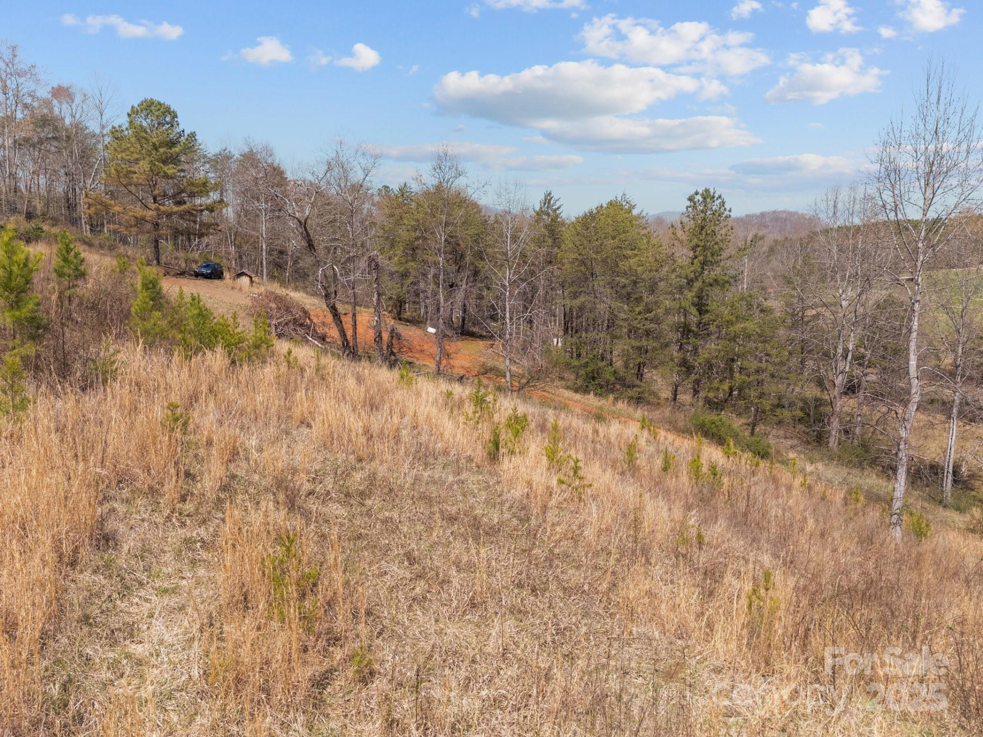 2311 Freemantown Road - Photo 10