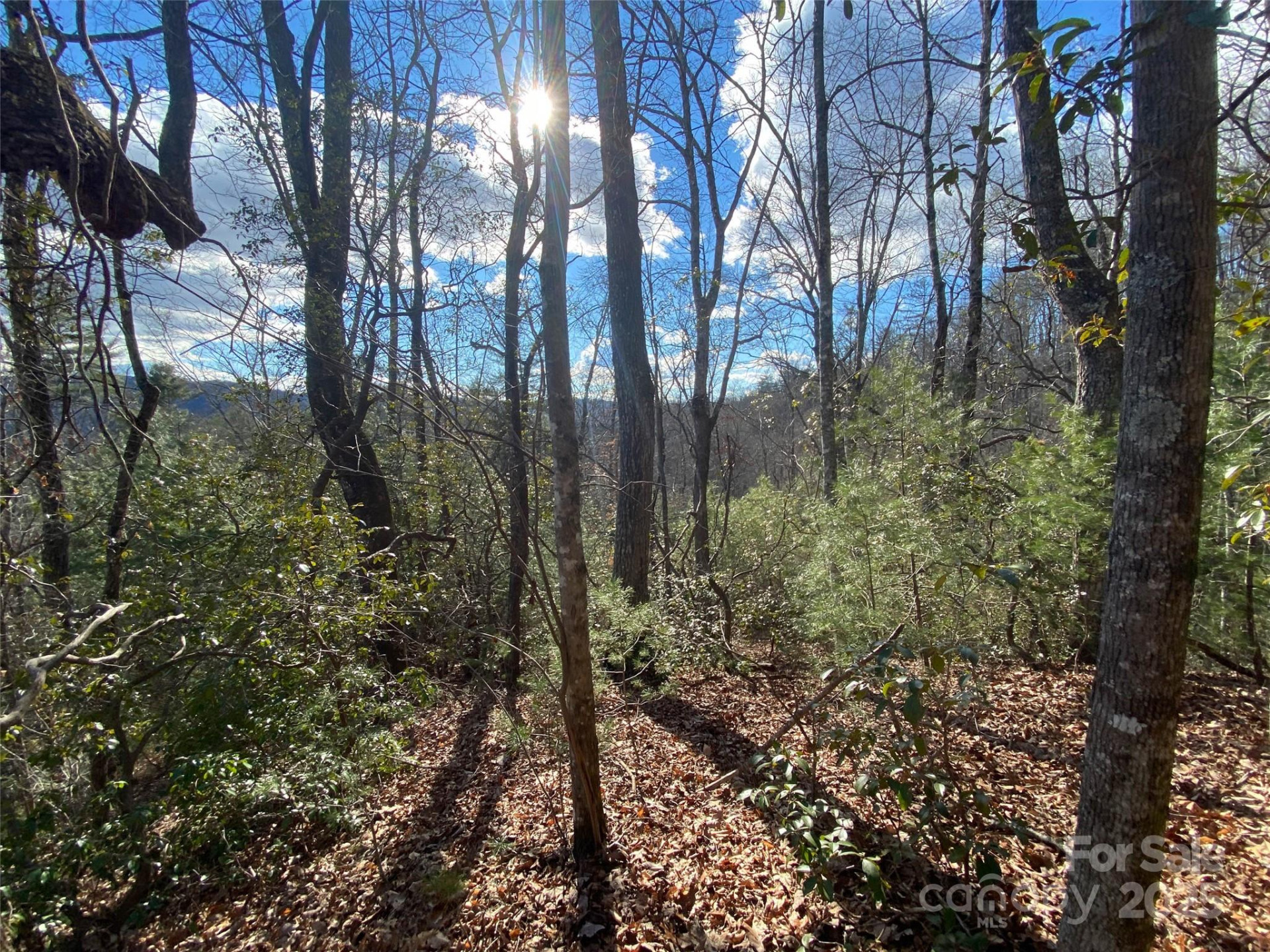 999 High Point Trail - Photo 2