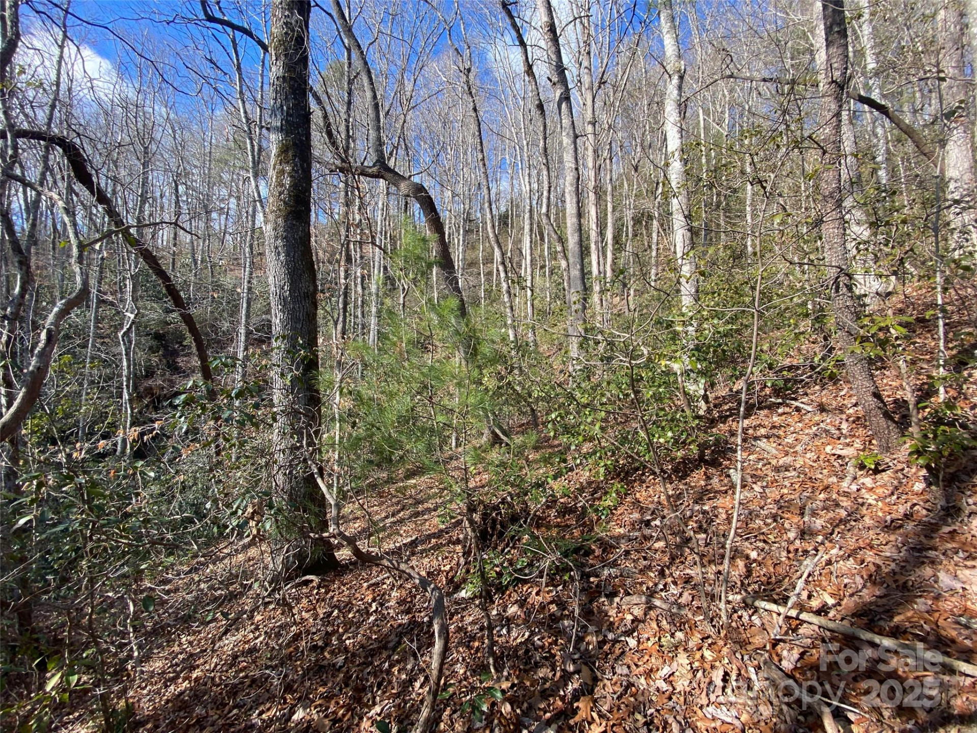 999 High Point Trail - Photo 11