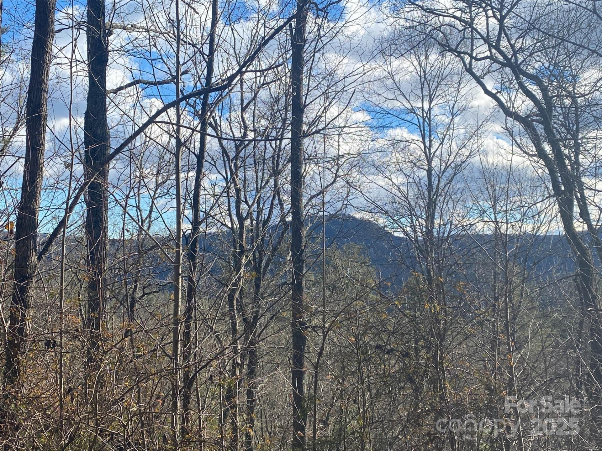 999 High Point Trail - Photo 14