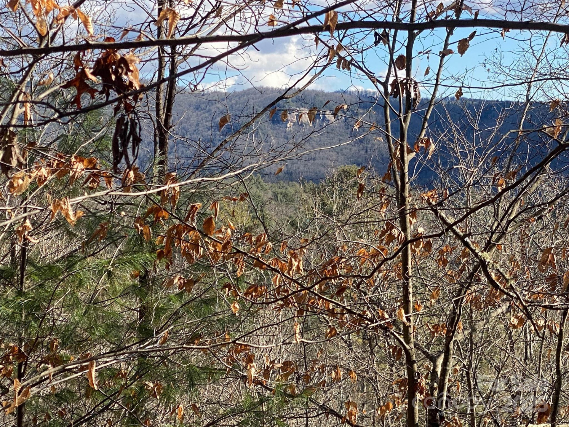 999 High Point Trail - Photo 3