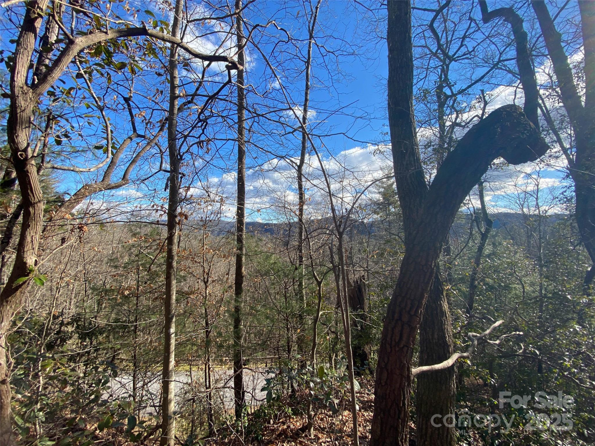 999 High Point Trail - Photo 4