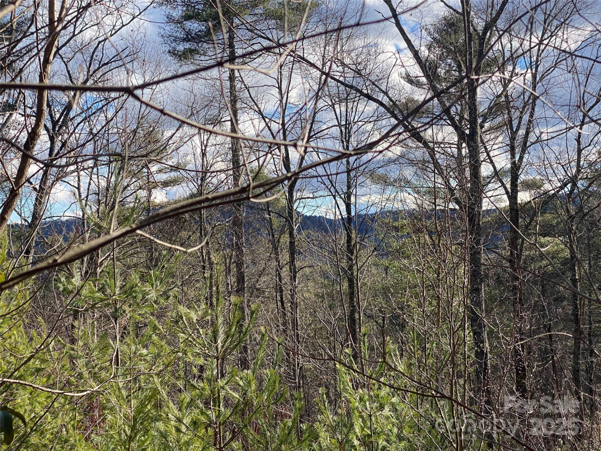 999 High Point Trail - Photo 5