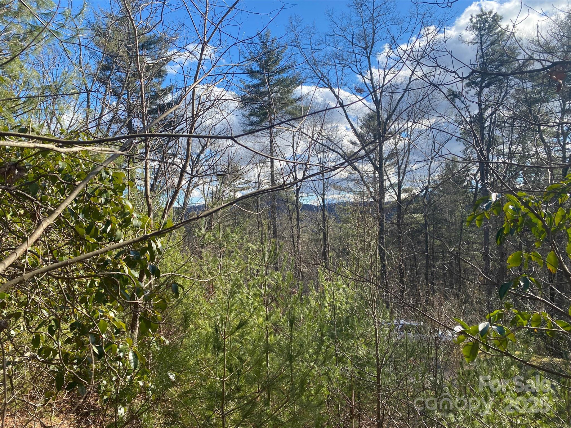 999 High Point Trail - Photo 6