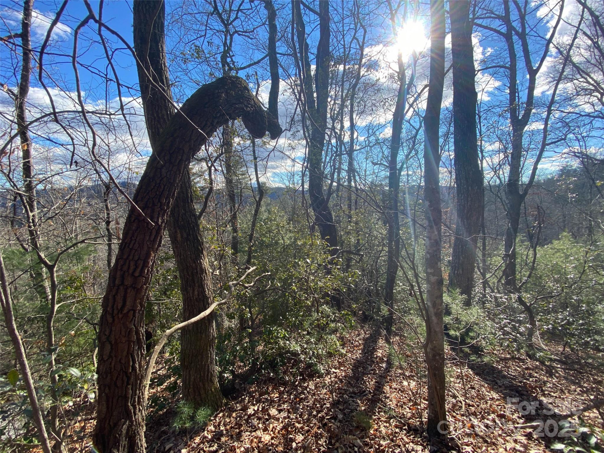 999 High Point Trail - Photo 8