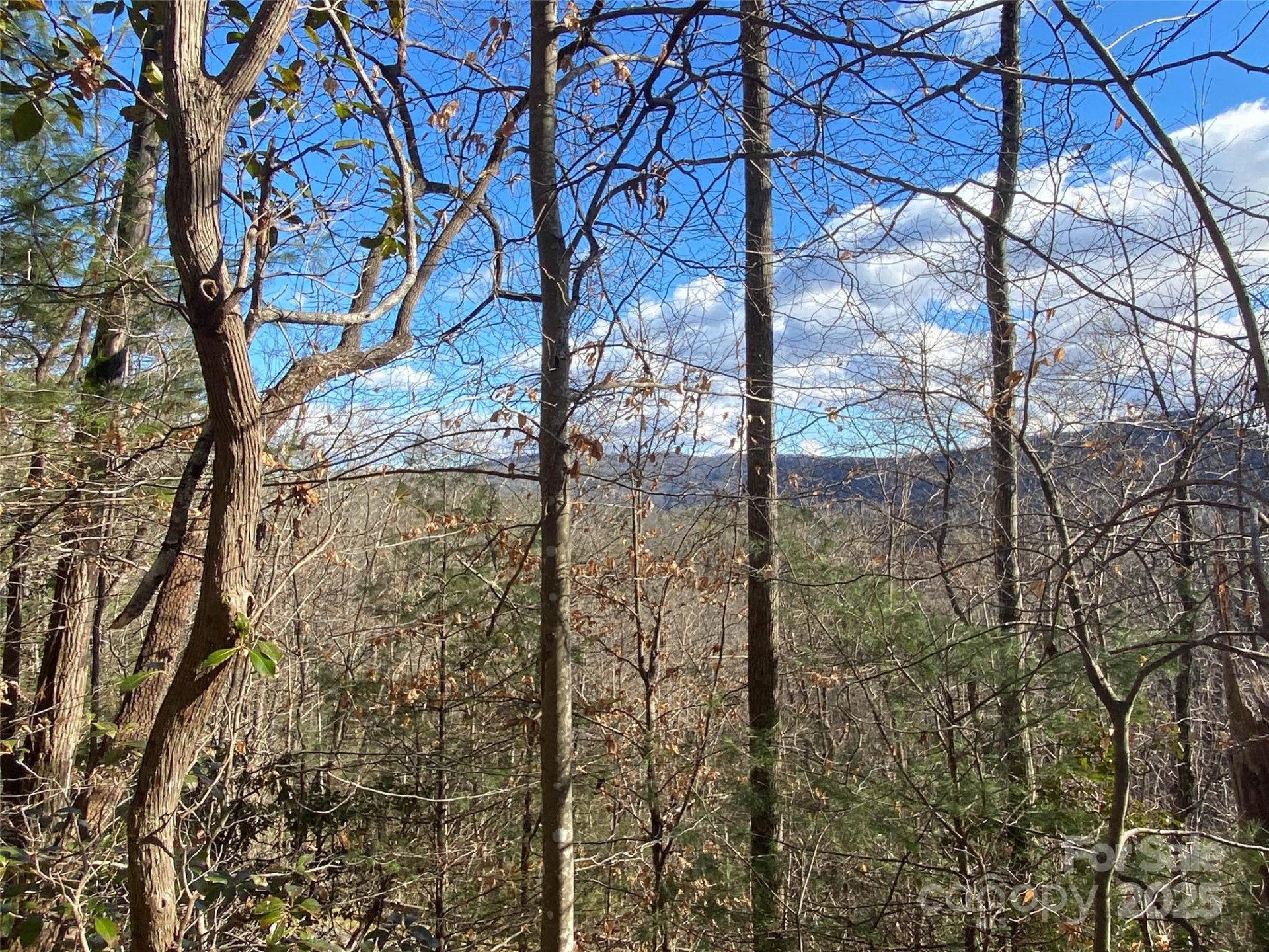 999 High Point Trail - Photo 9