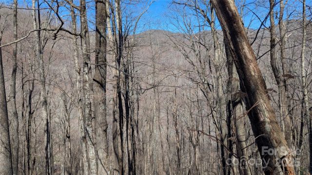 00 Shady Rest Drive, Waynesville, NC, 28785