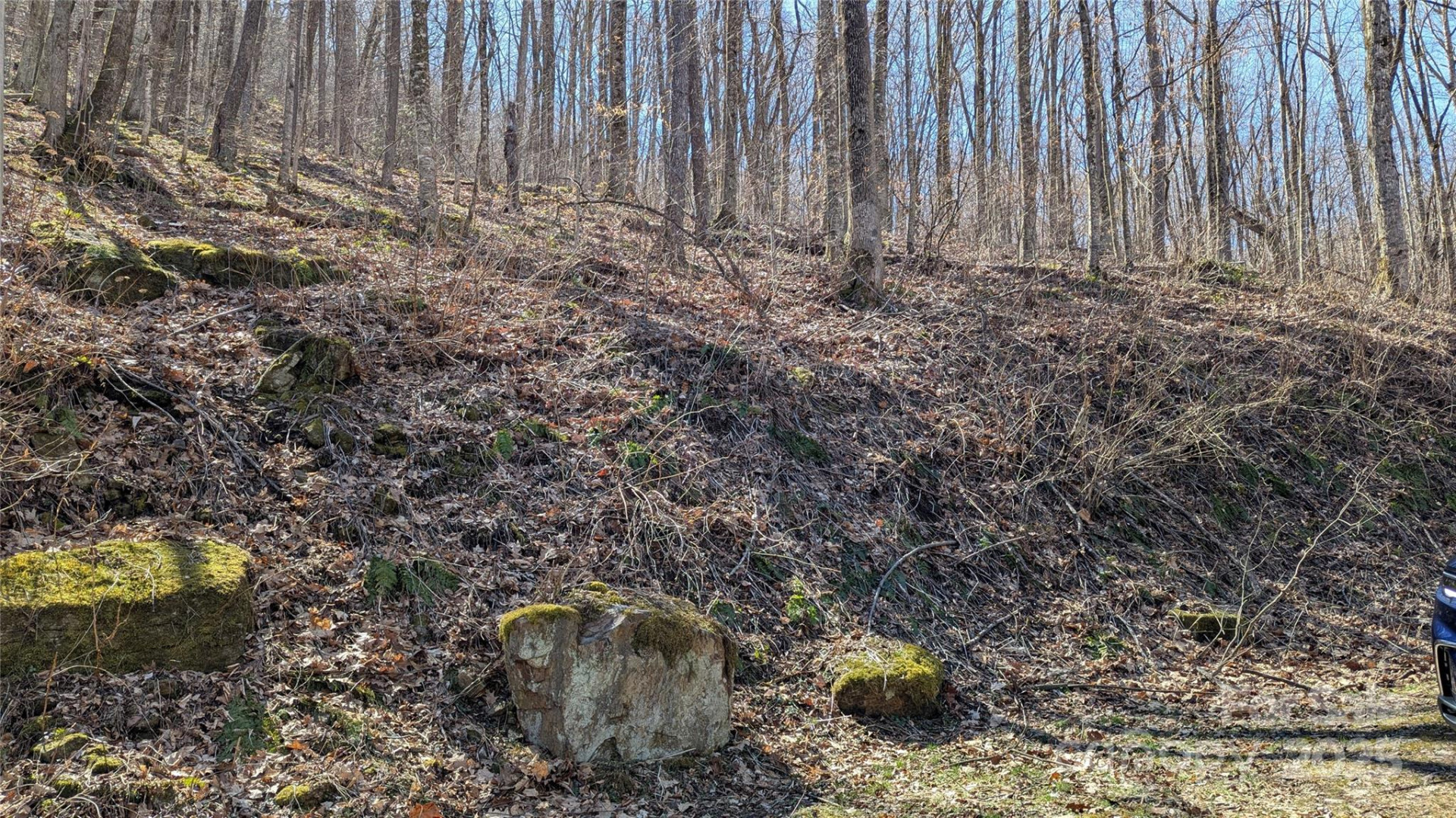 00 Shady Rest Drive #37 - Photo 2