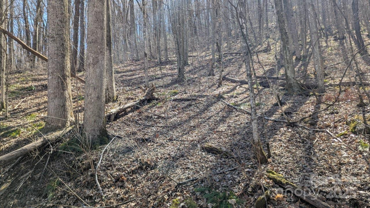 00 Shady Rest Drive #37 - Photo 3