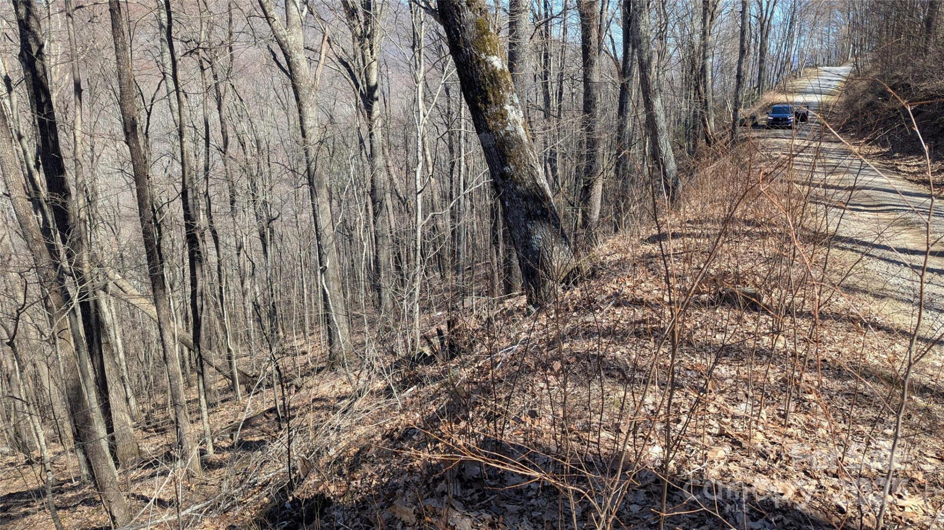 00 Shady Rest Drive #37 - Photo 4