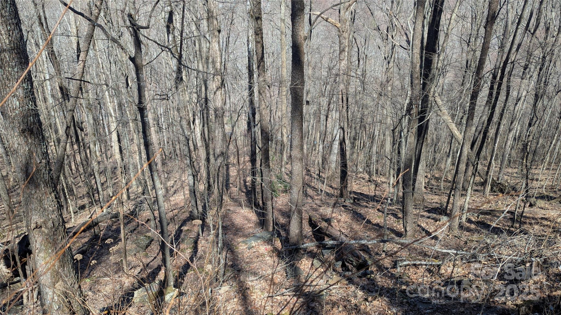 00 Shady Rest Drive #37 - Photo 5