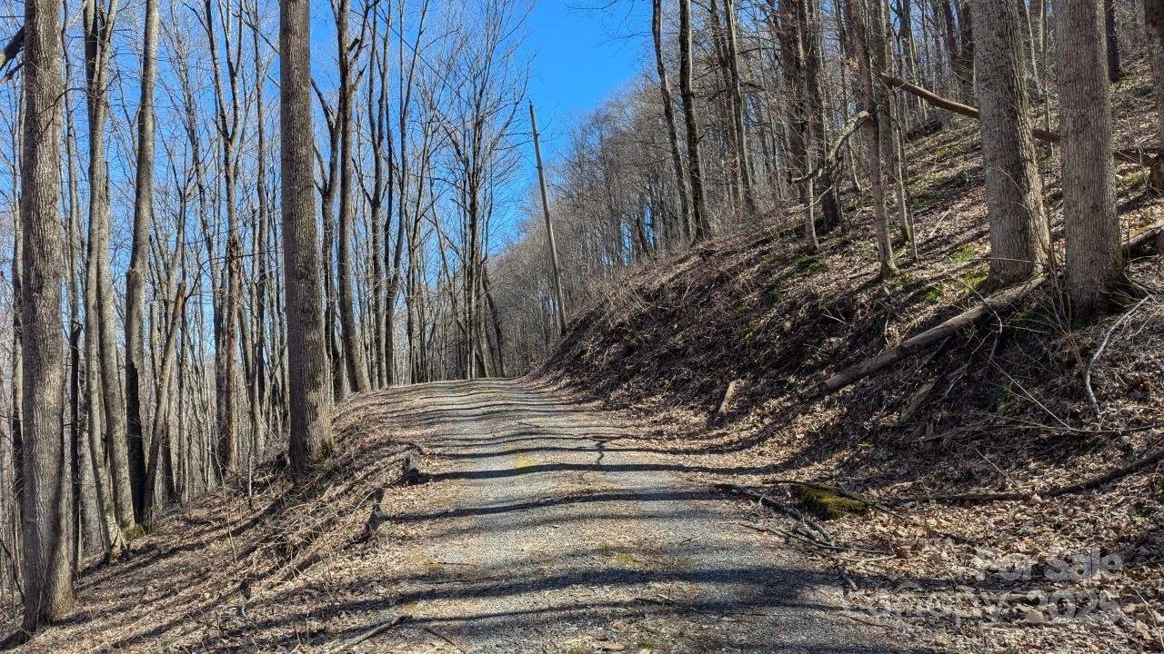 00 Shady Rest Drive #37 - Photo 6