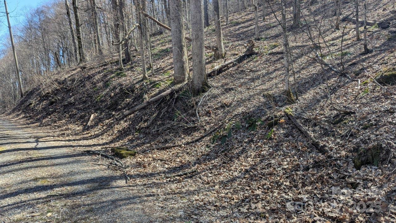 00 Shady Rest Drive #37 - Photo 7