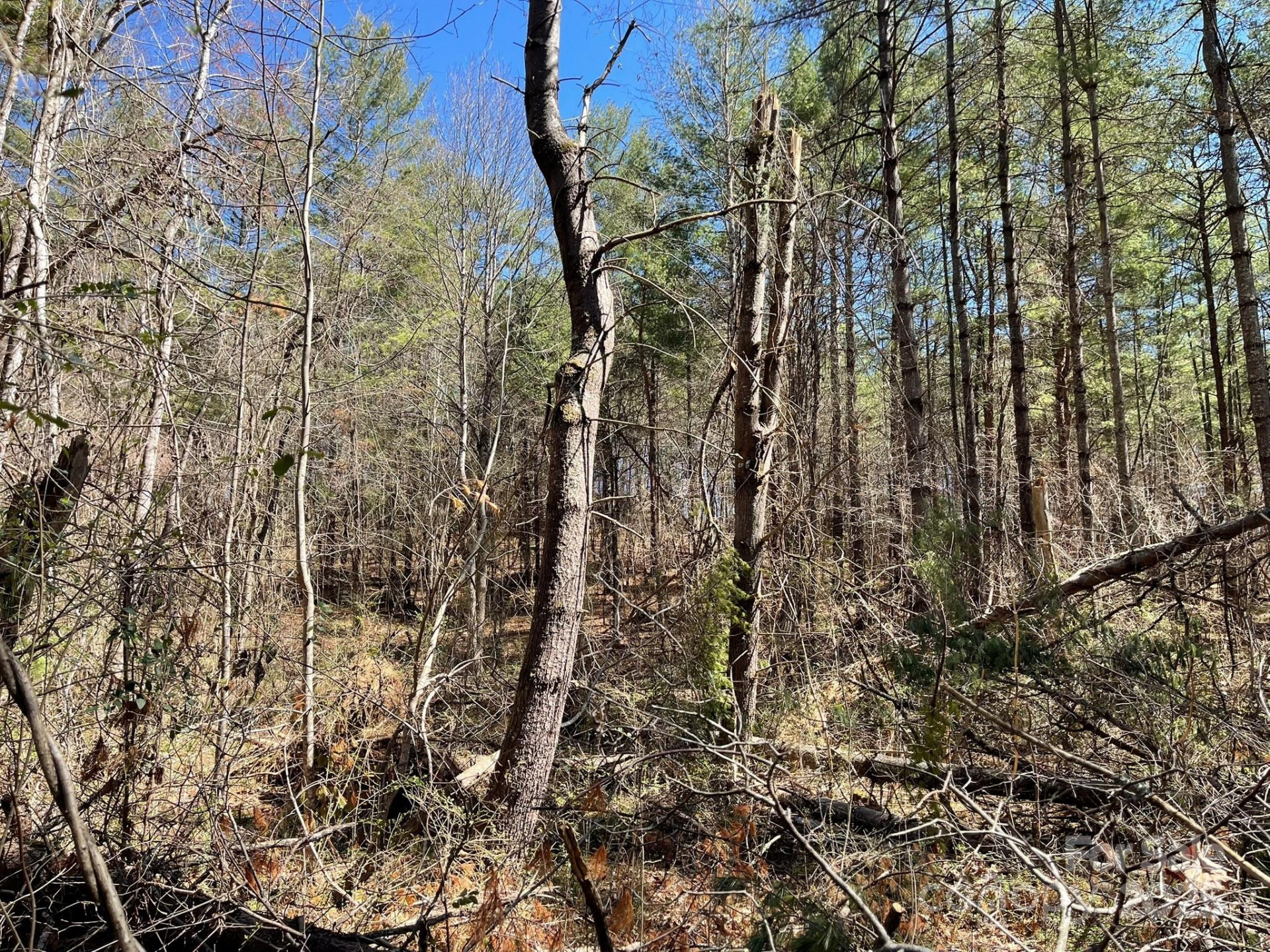 85 Union Chapel Road - Photo 23