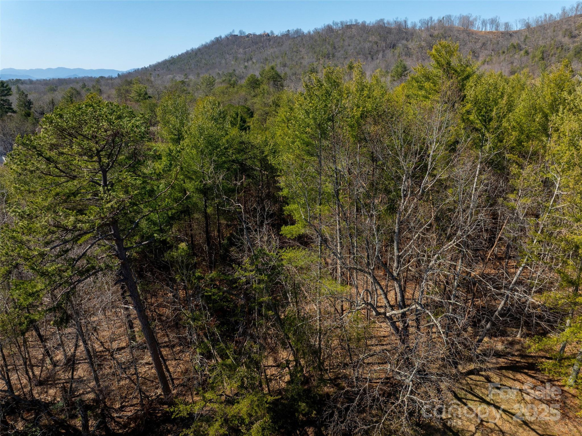 85 Union Chapel Road - Photo 6