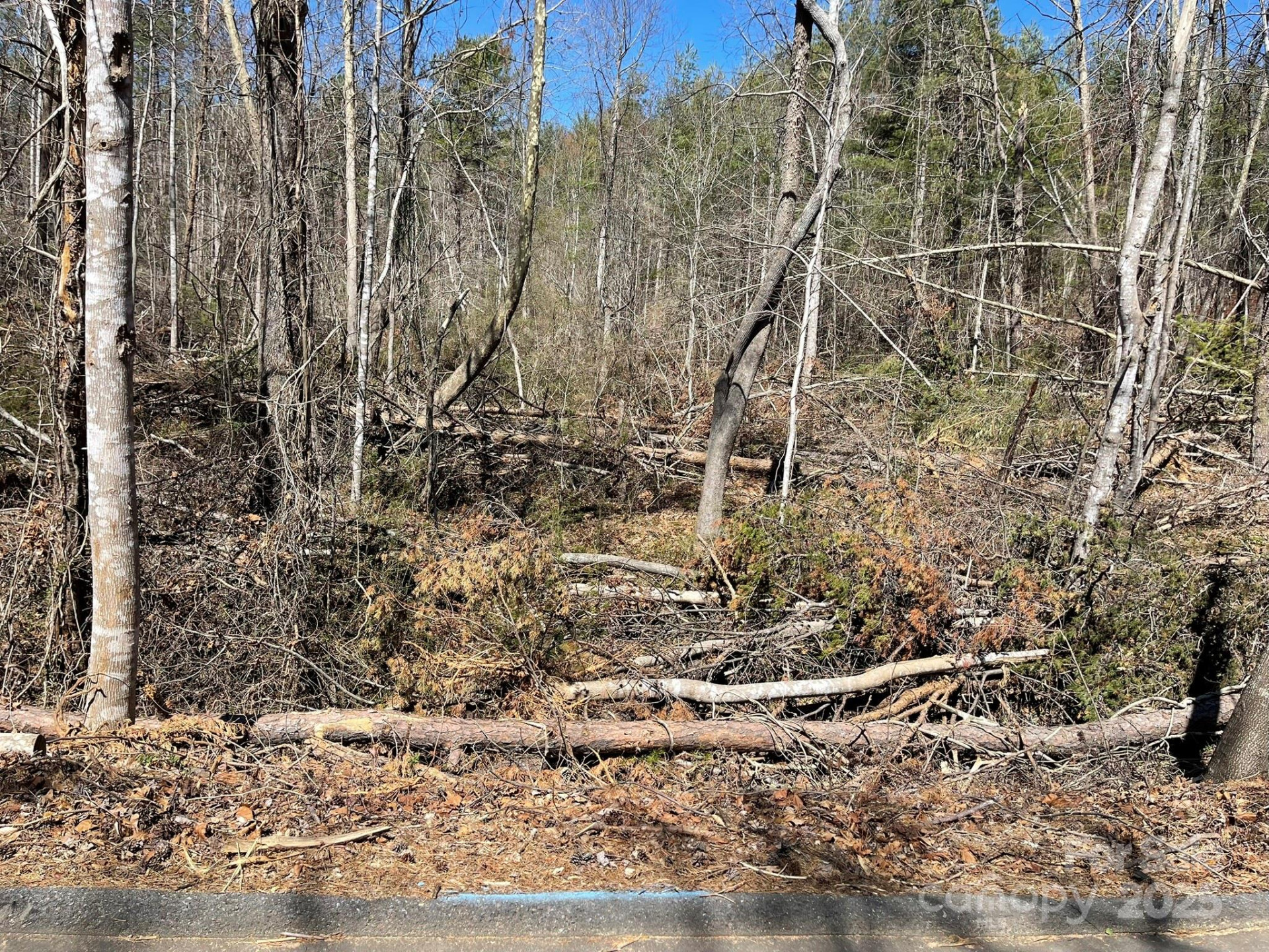 85 Union Chapel Road - Photo 9