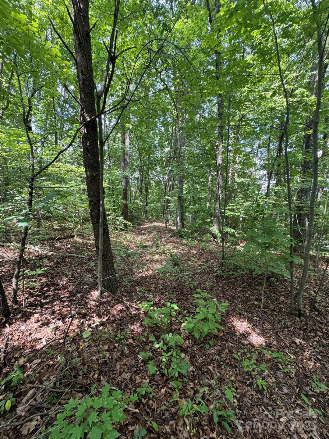 00 Pinnacle Parkway - Photo 4