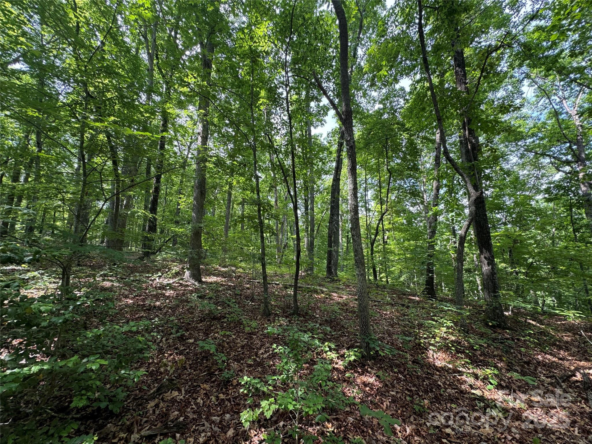 00 Pinnacle Parkway - Photo 7