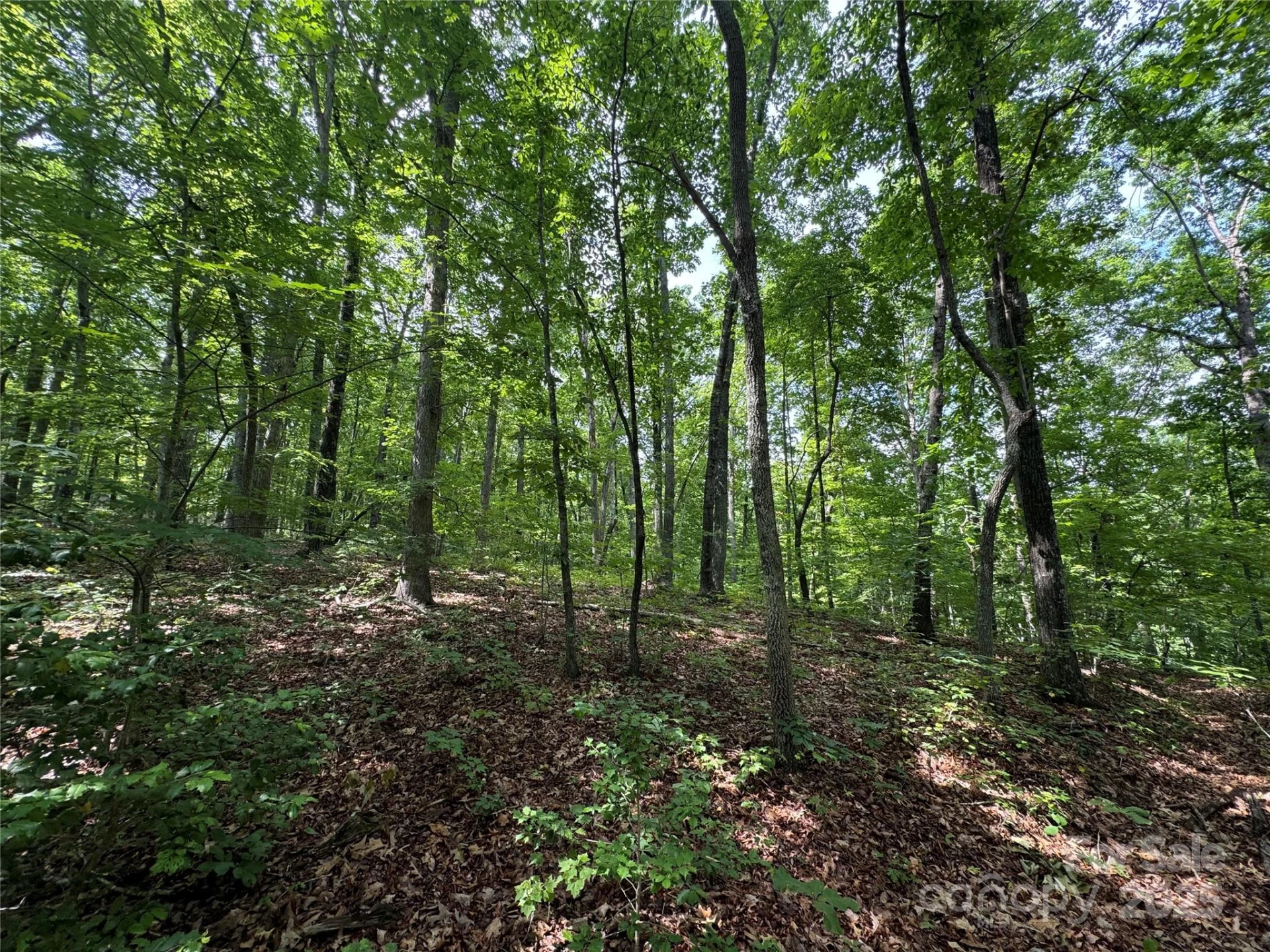 00 Pinnacle Parkway - Photo 7