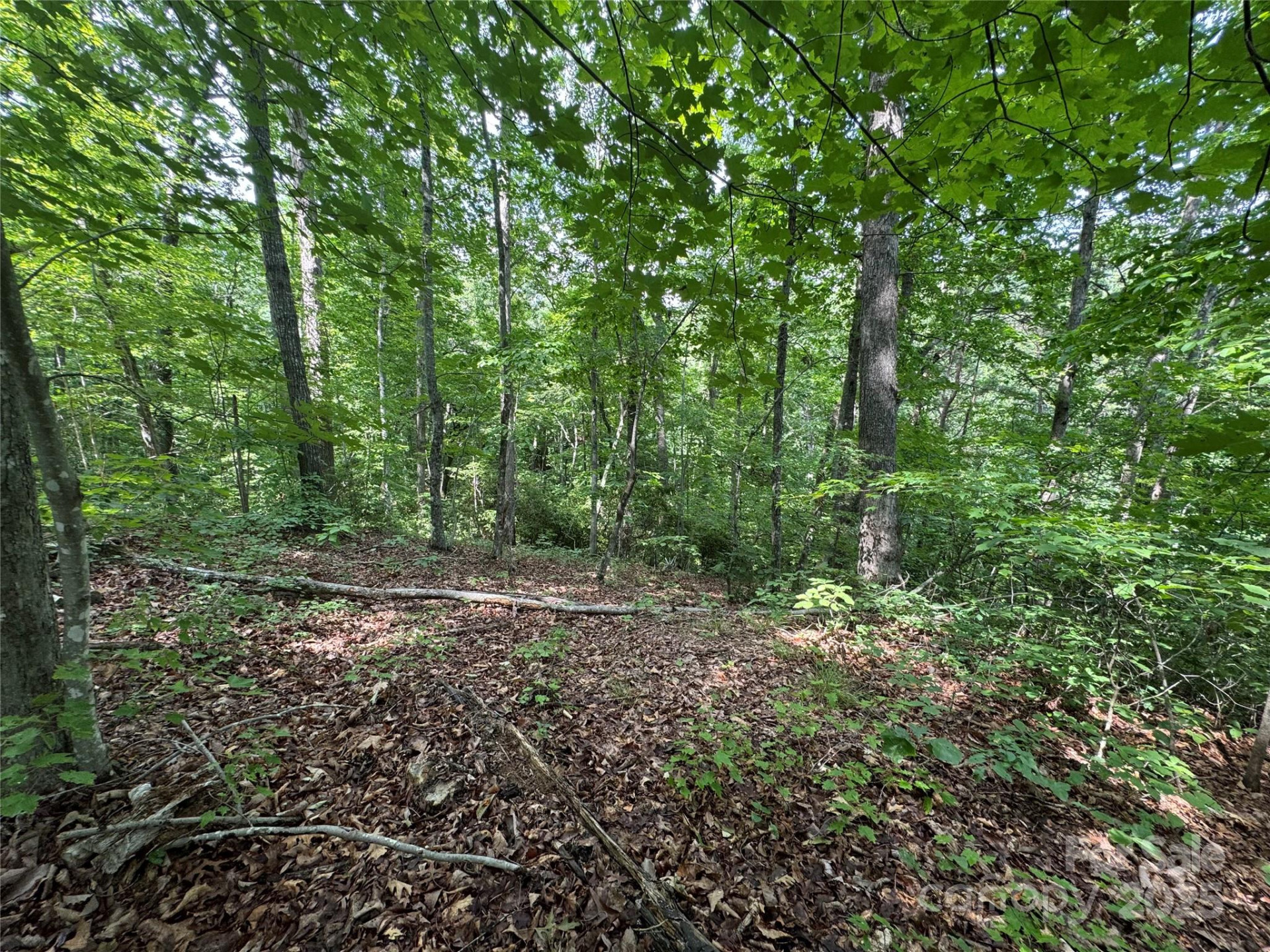 00 Pinnacle Parkway - Photo 8