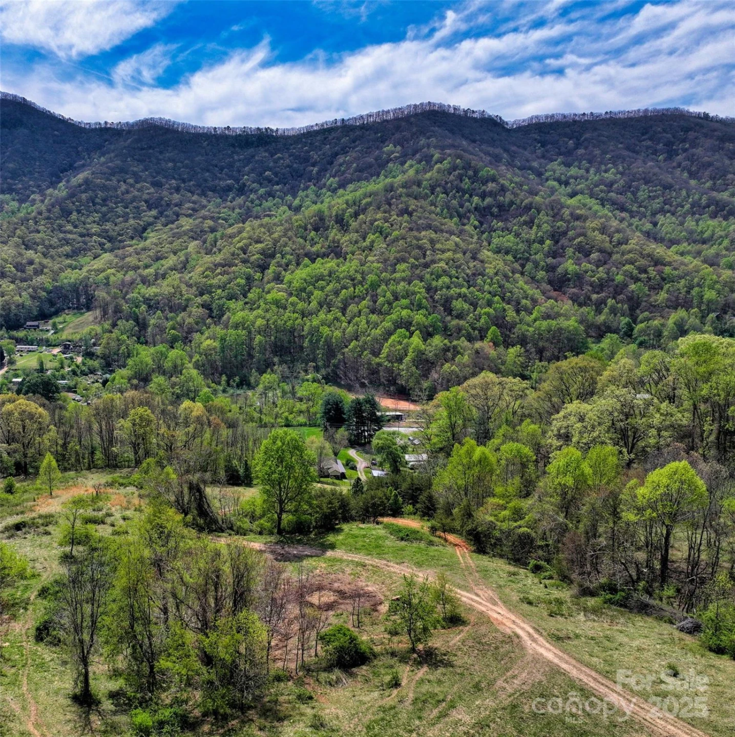 1567 Newfound Road