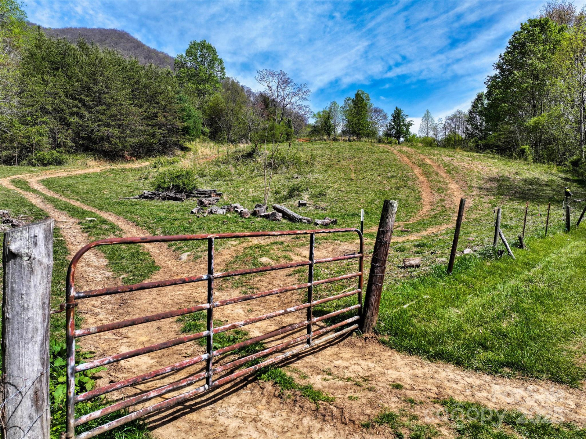 1567 Newfound Road - Photo 2