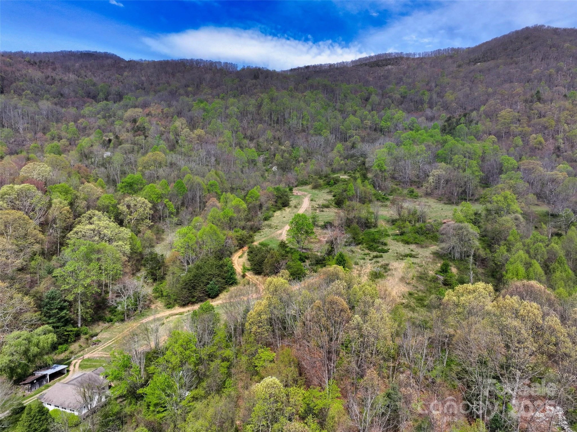 1567 Newfound Road - Photo 3