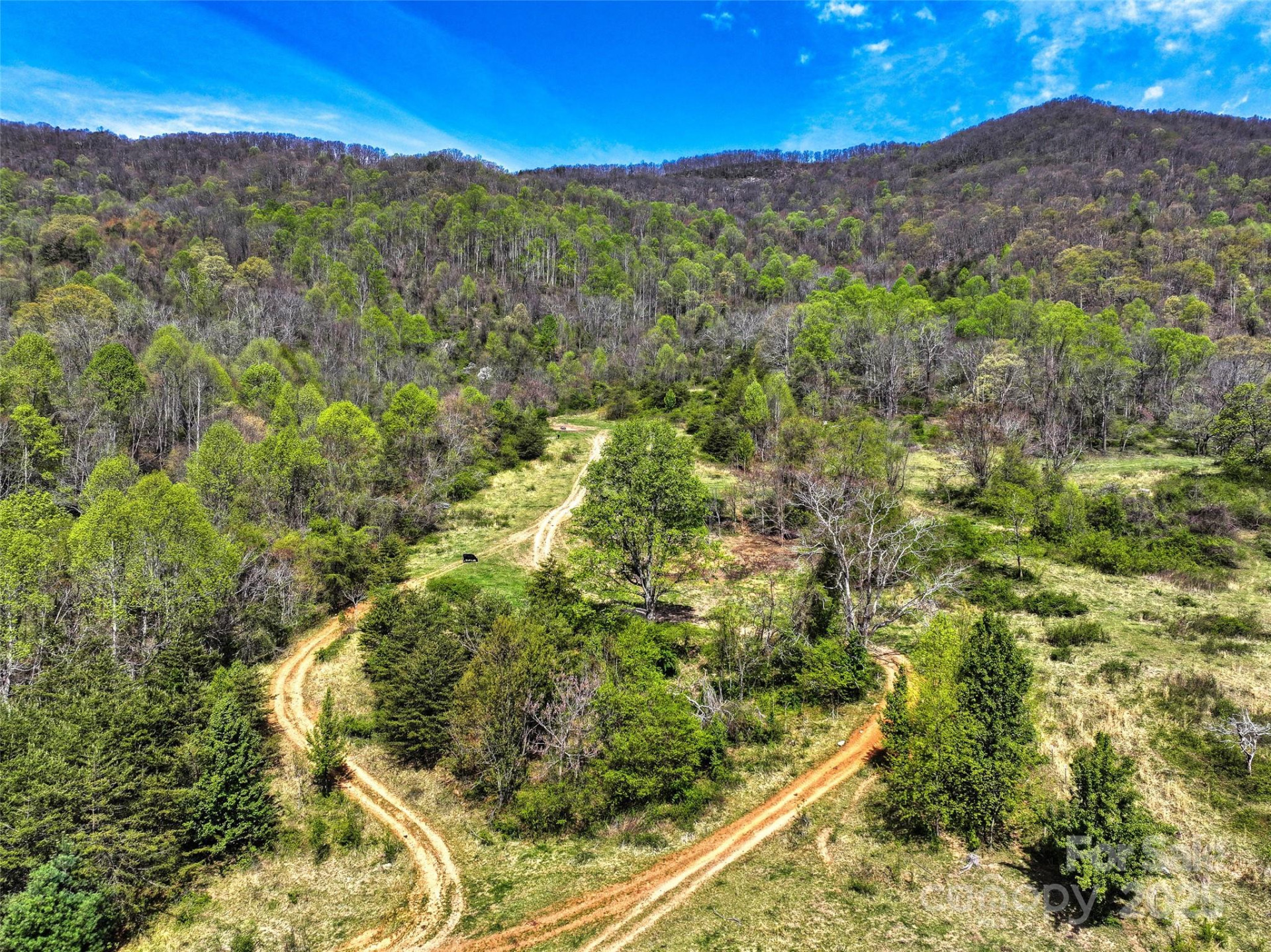 1567 Newfound Road - Photo 25