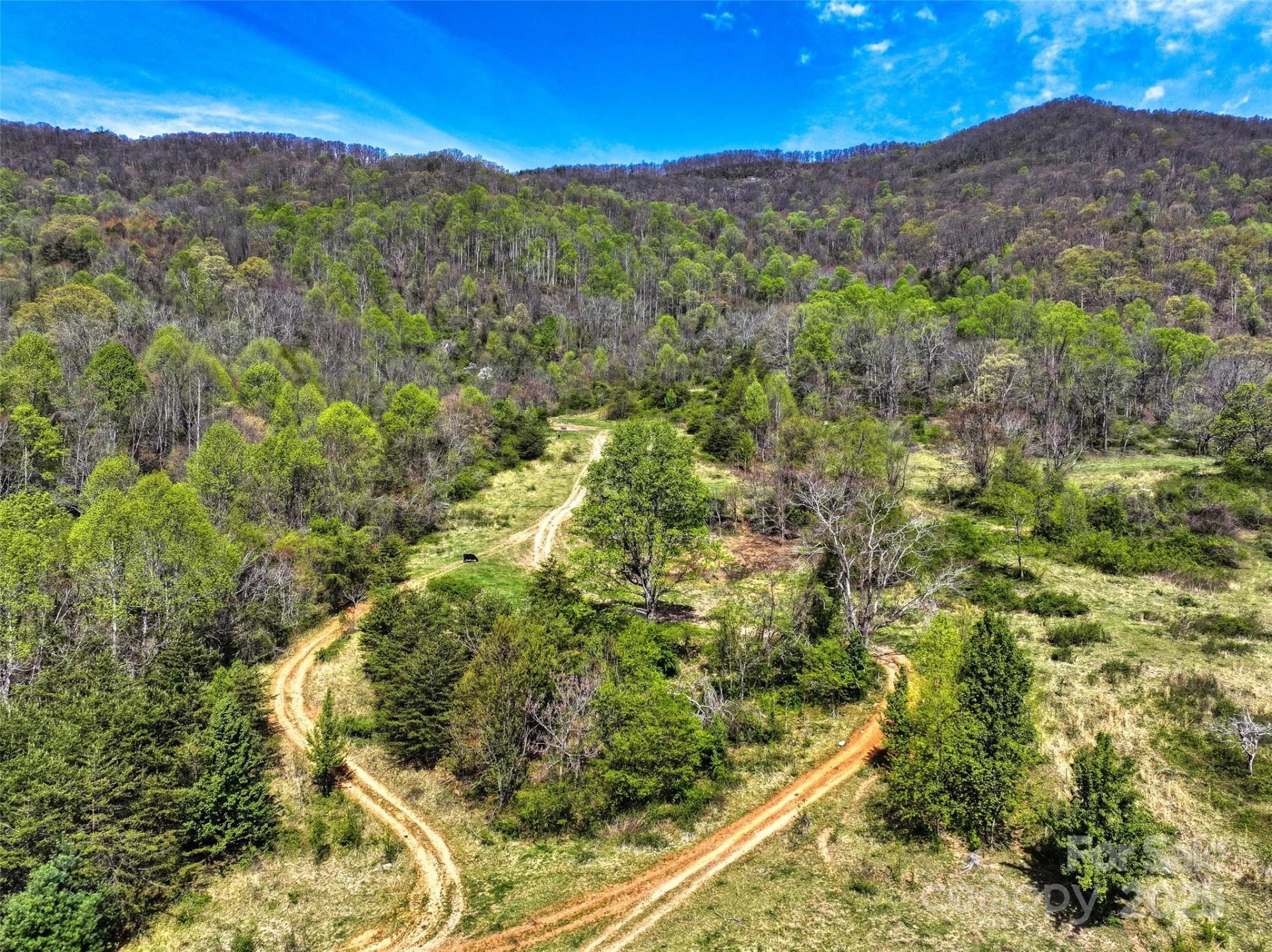 1567 Newfound Road - Photo 25