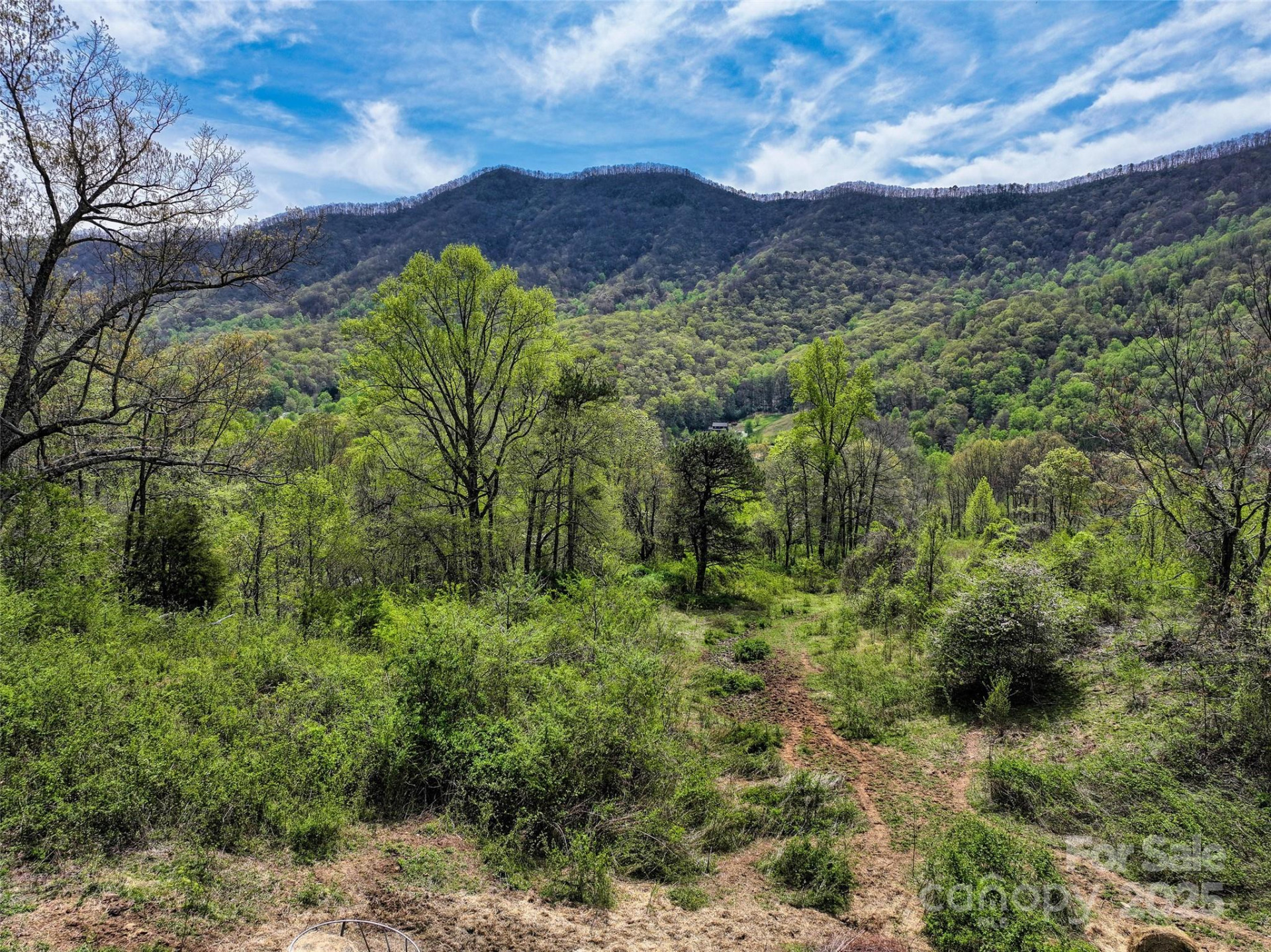 1567 Newfound Road - Photo 29