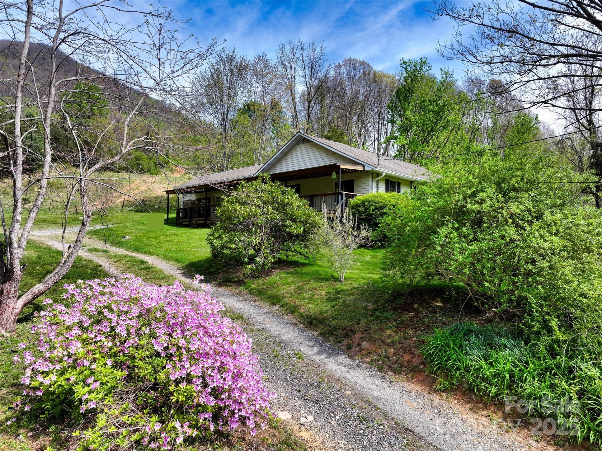 1567 Newfound Road - Photo 6