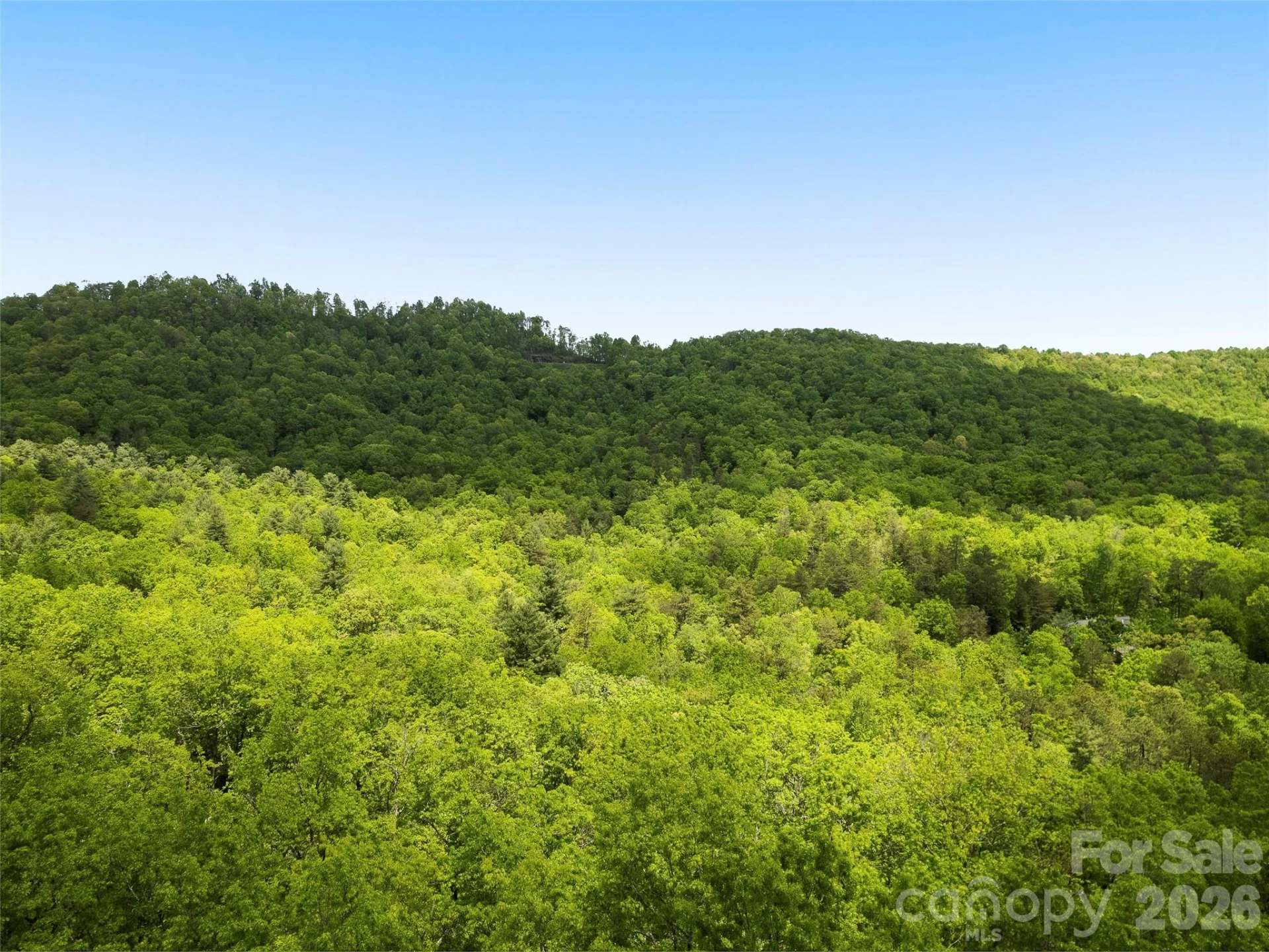 1455 Flint Rock Trail - Photo 89