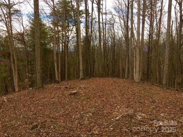 45 Sweet Fern Parkway #43 - Photo 12