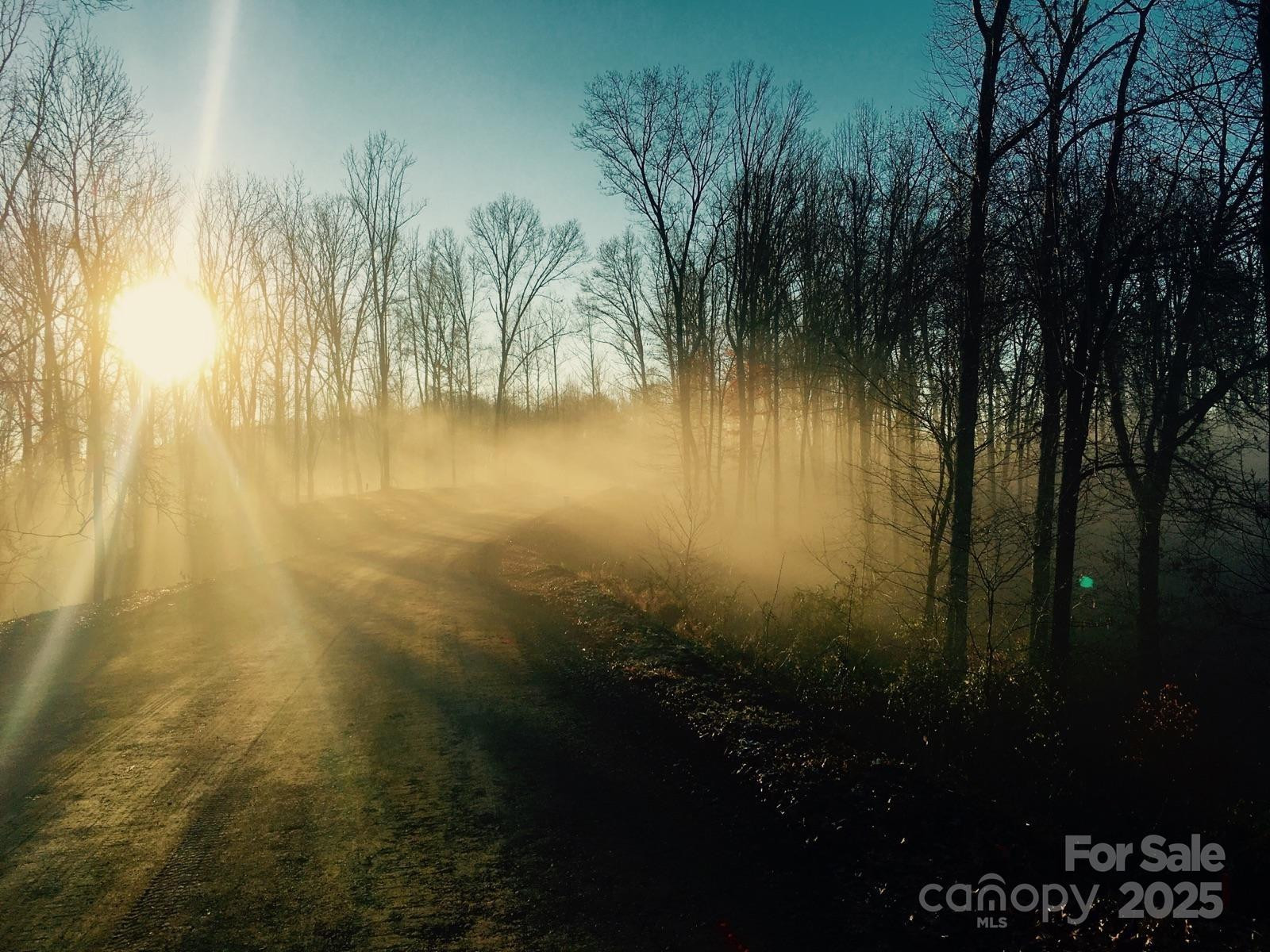 45 Sweet Fern Parkway #43 - Photo 17