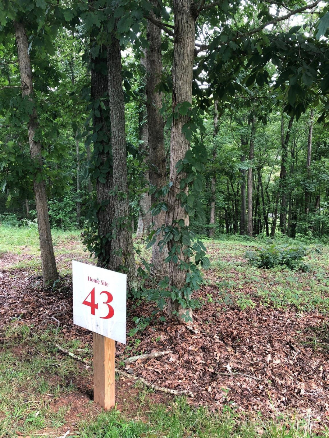 45 Sweet Fern Parkway #43 - Photo 3