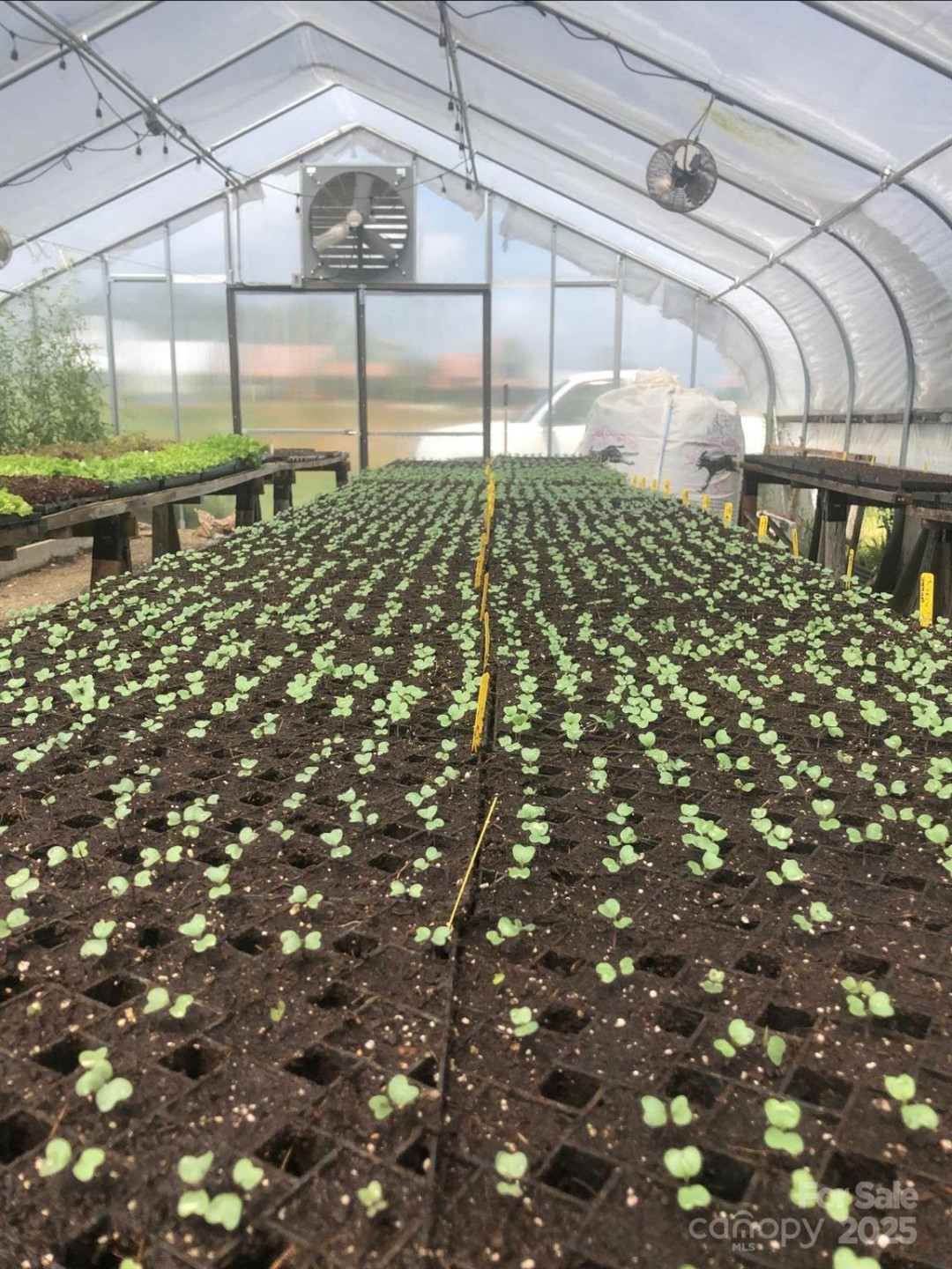 45 Sweet Fern Parkway #43 - Photo 24