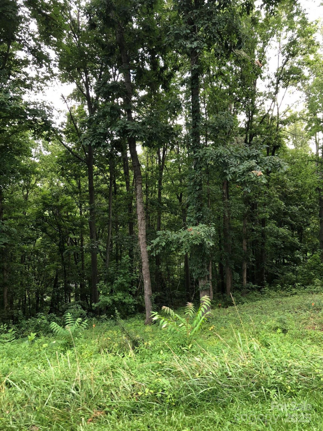 45 Sweet Fern Parkway #43 - Photo 4