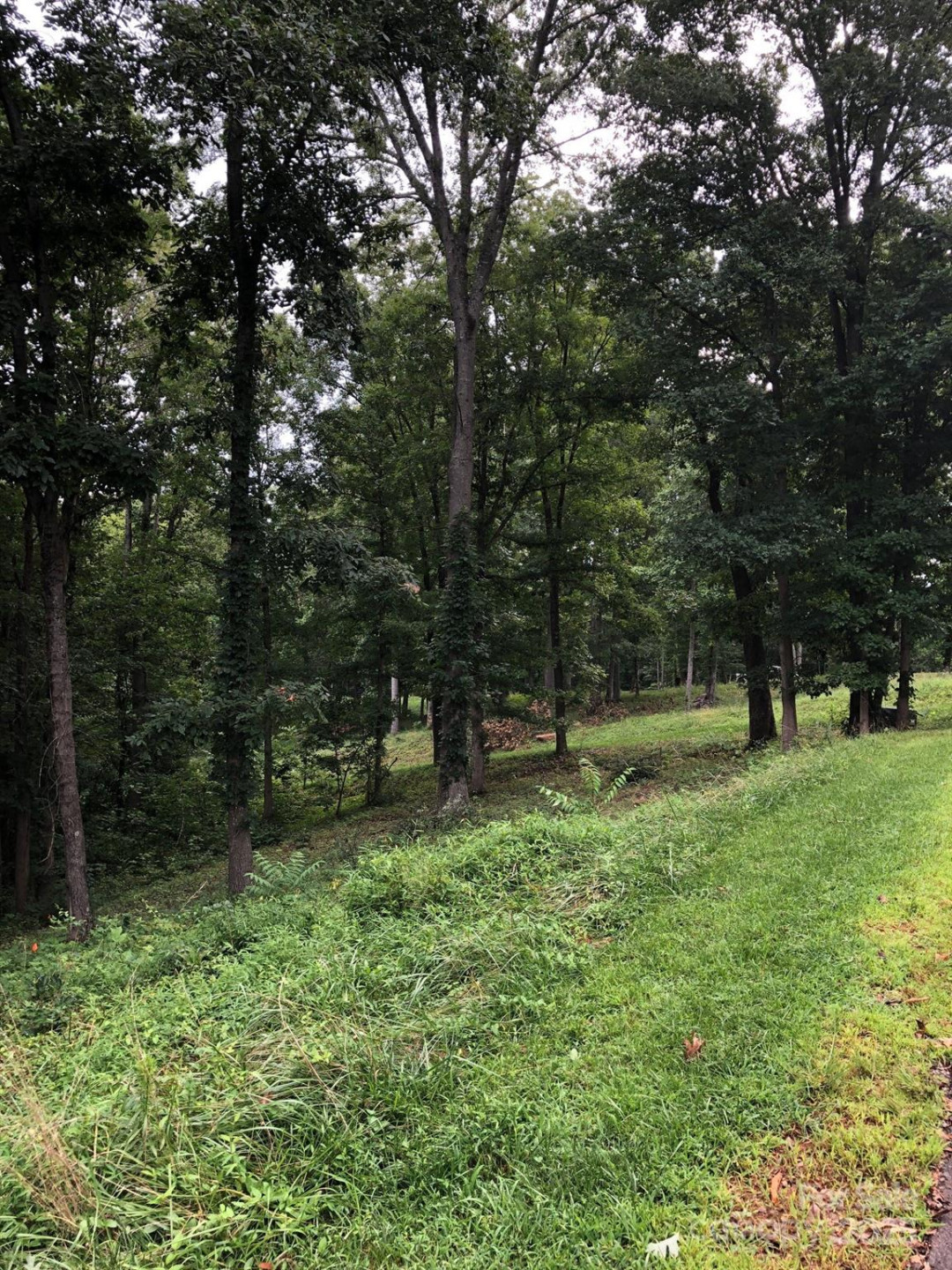 45 Sweet Fern Parkway #43 - Photo 5