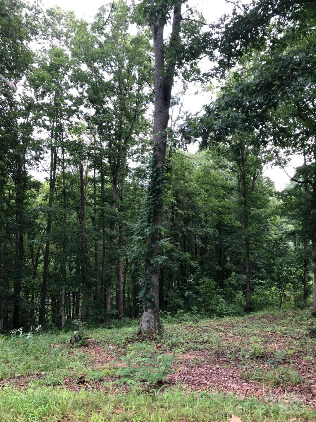 45 Sweet Fern Parkway #43 - Photo 6