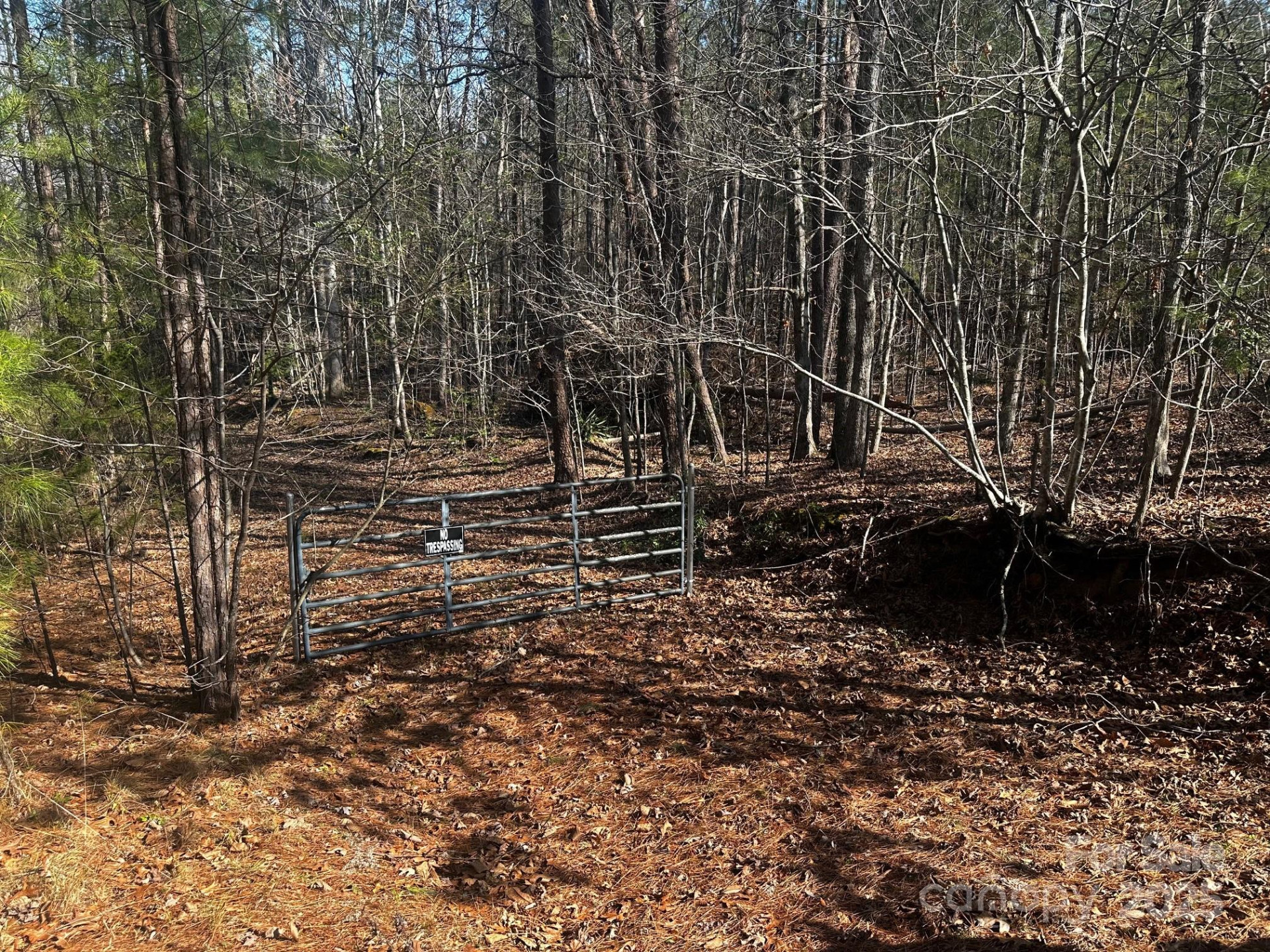 0000 Grassy Knob Road - Photo 2