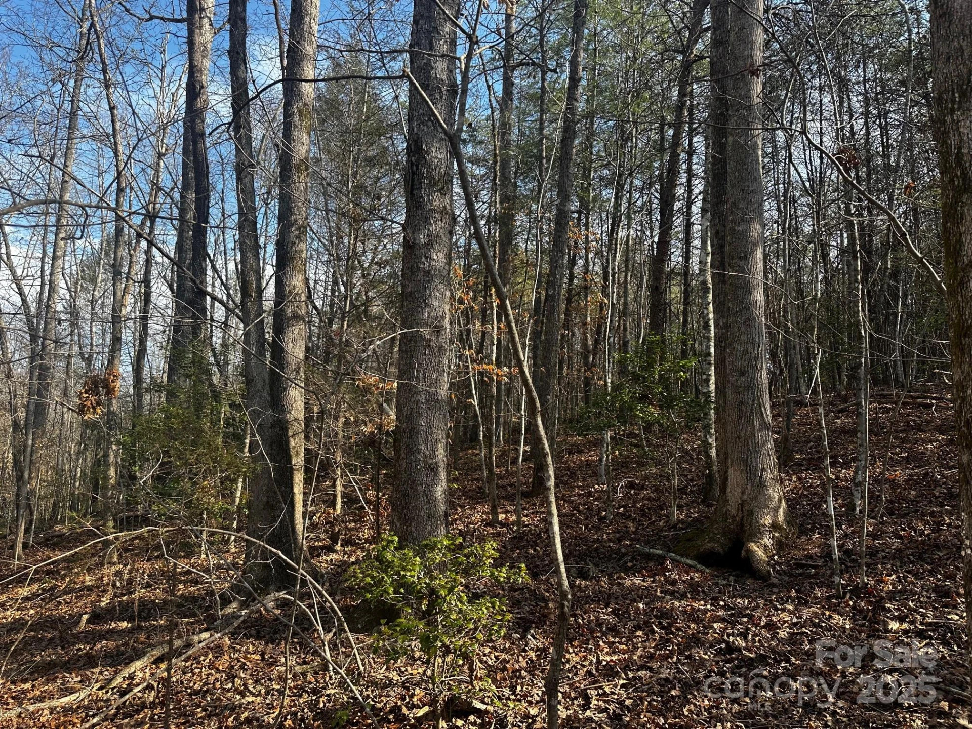 0000 Grassy Knob Road - Photo 12