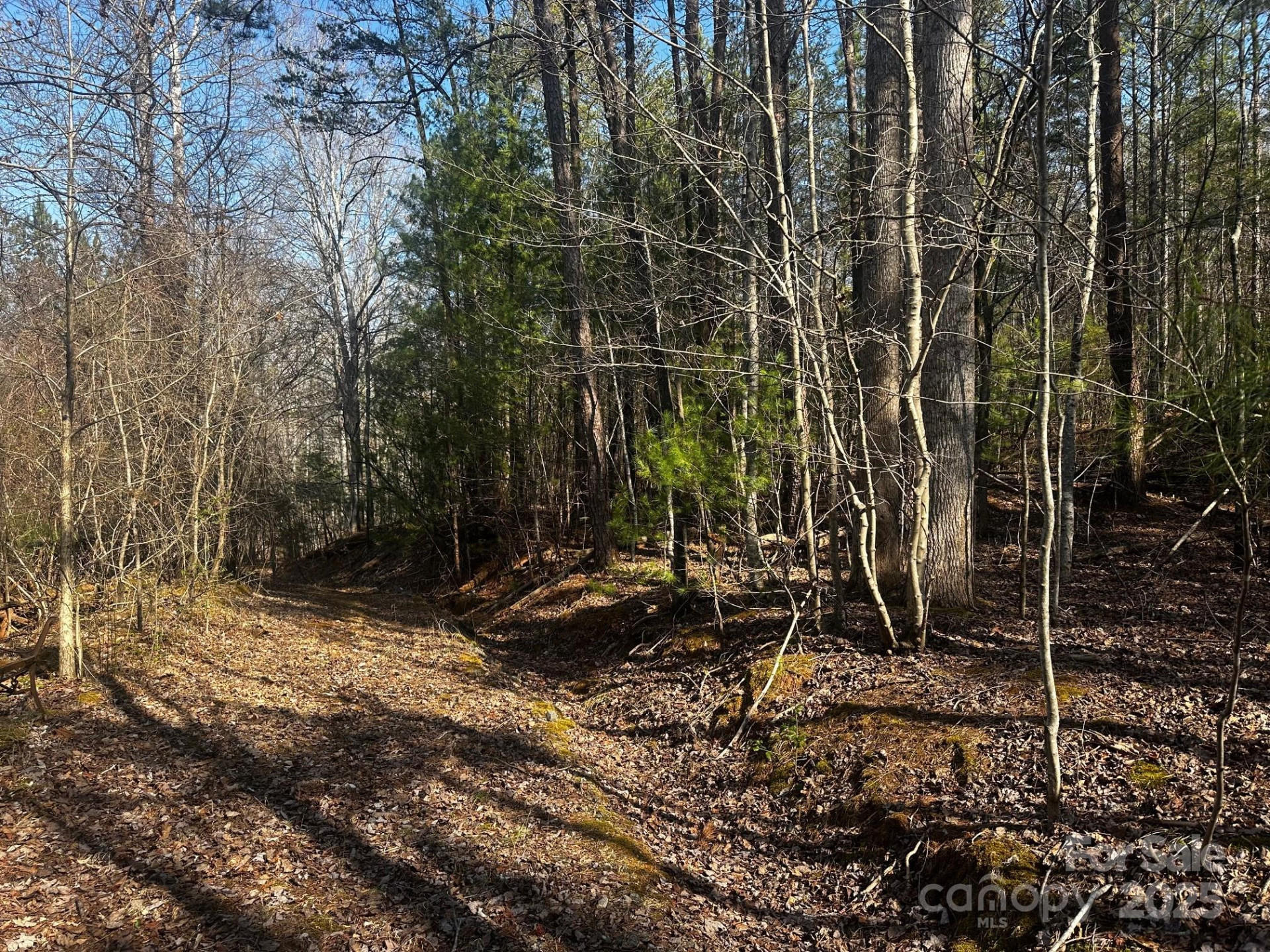 0000 Grassy Knob Road - Photo 4