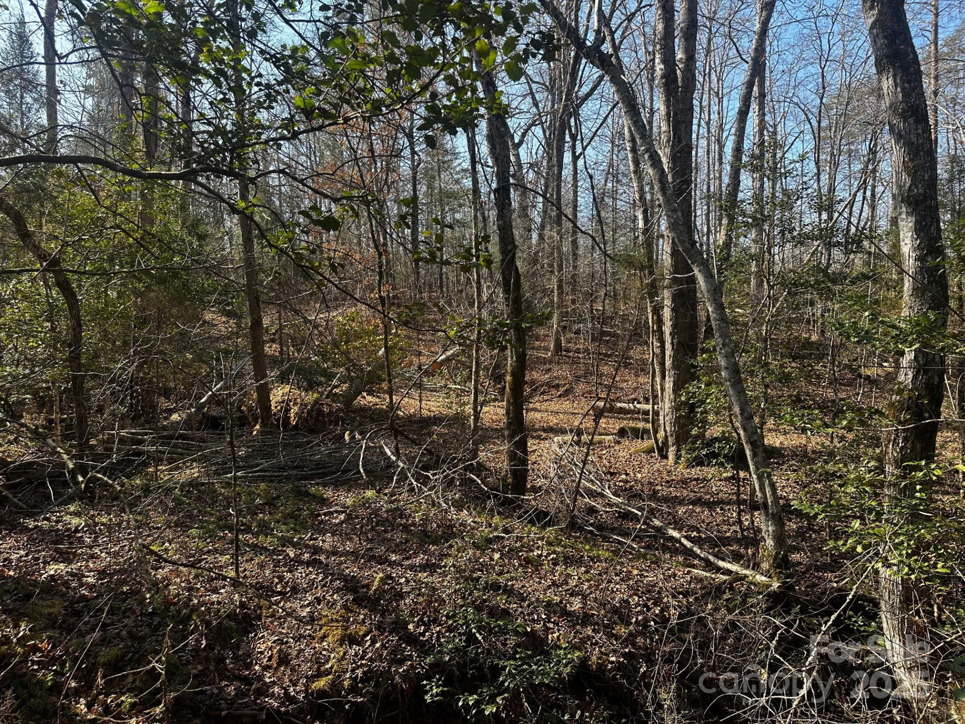 0000 Grassy Knob Road - Photo 9