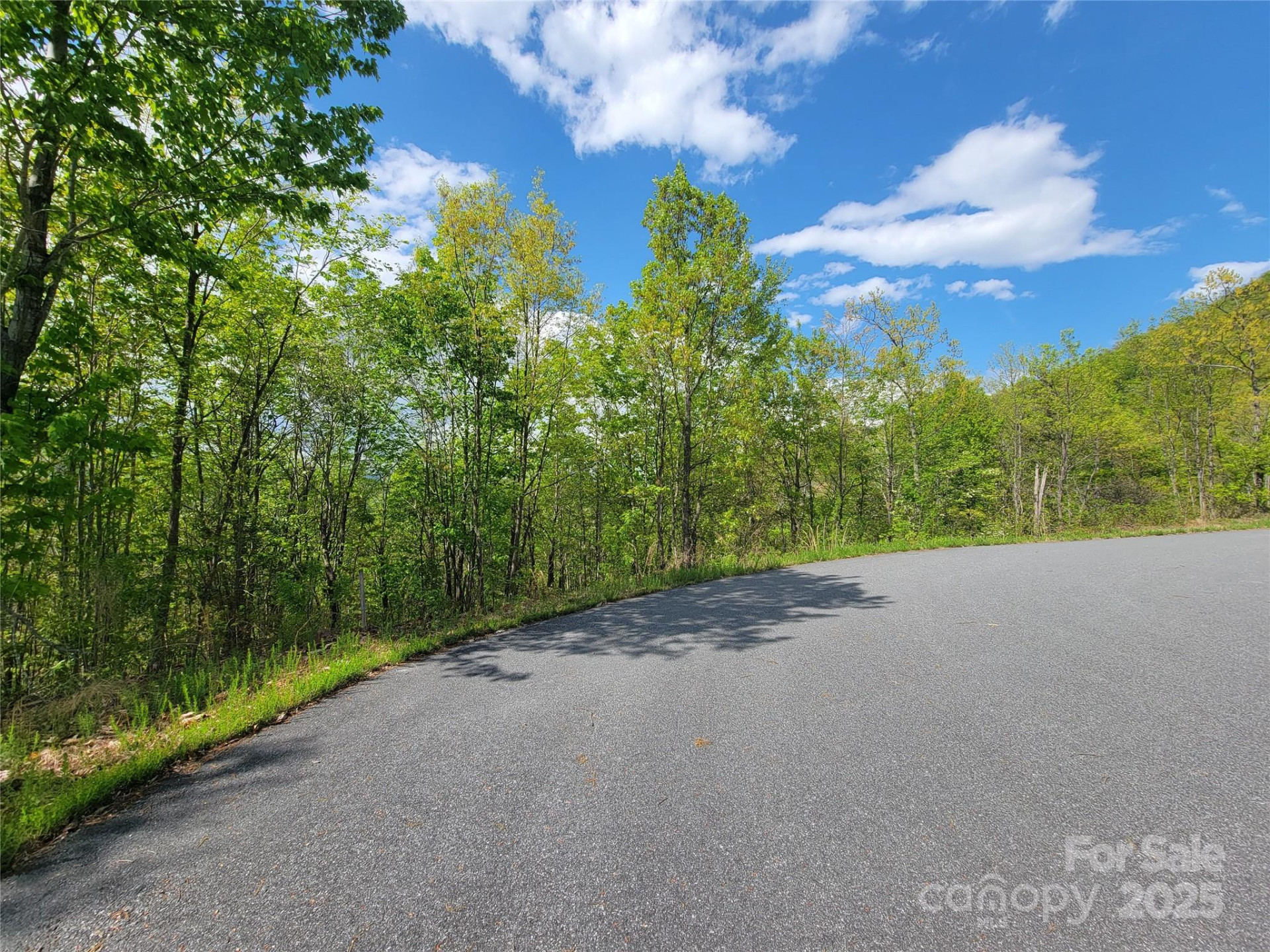 0000 Labras Drive - Photo 2