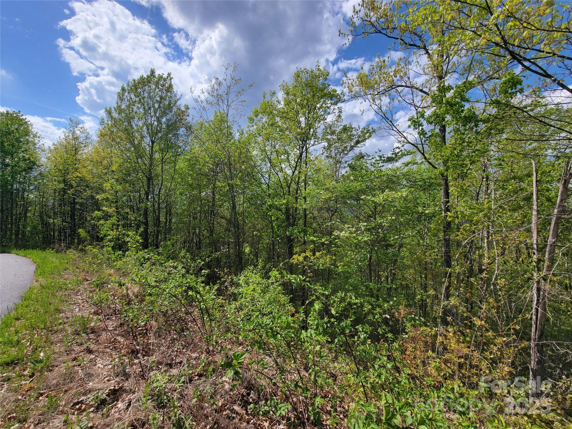 0000 Labras Drive - Photo 3