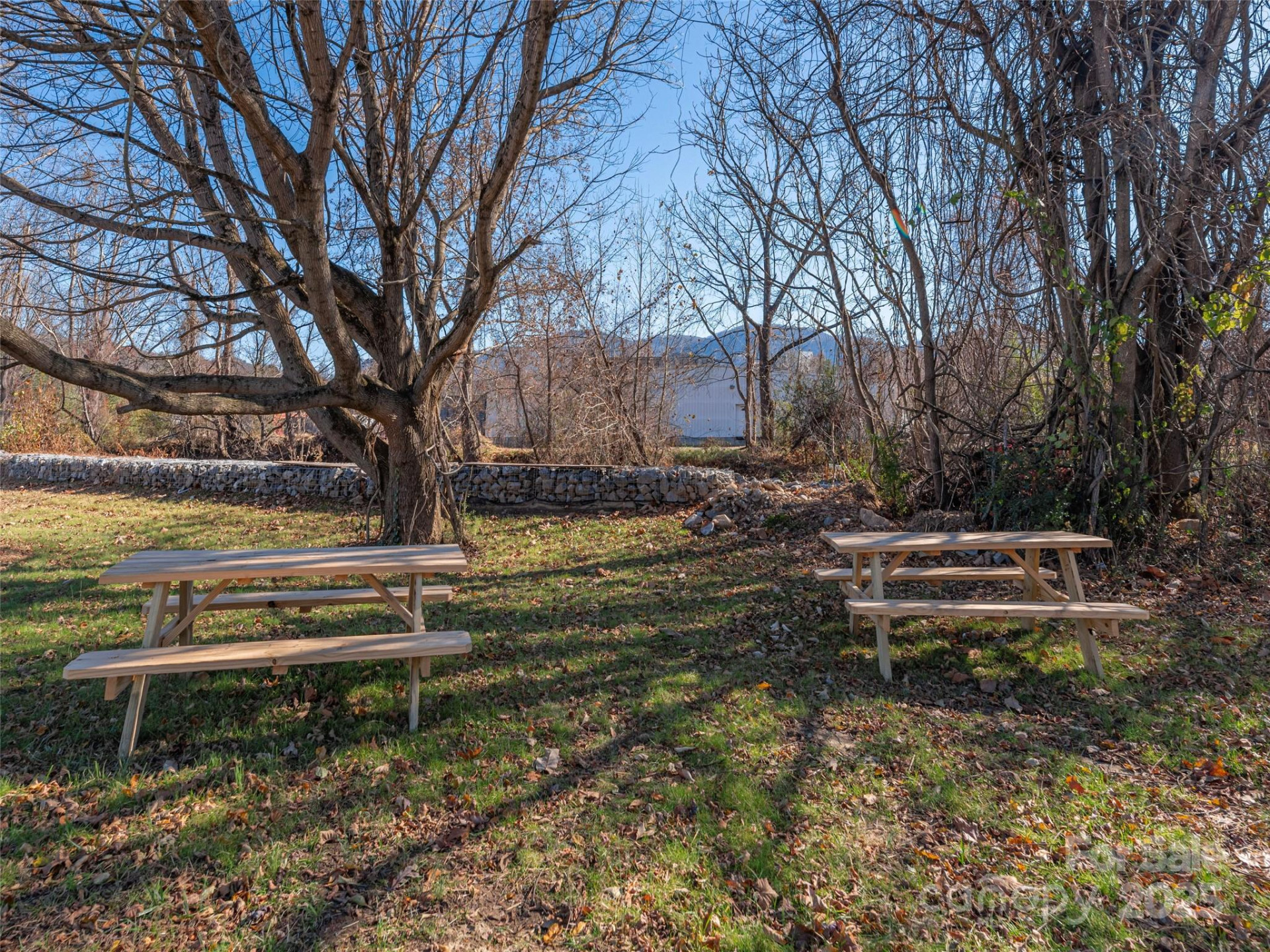 11 Leap Frog Park - Photo 20