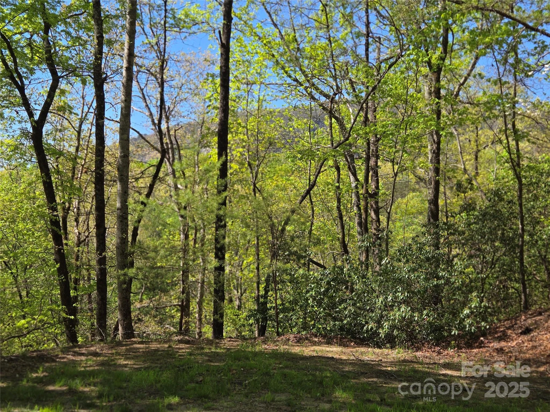 Lot 64 &  65 Walnut Lane
