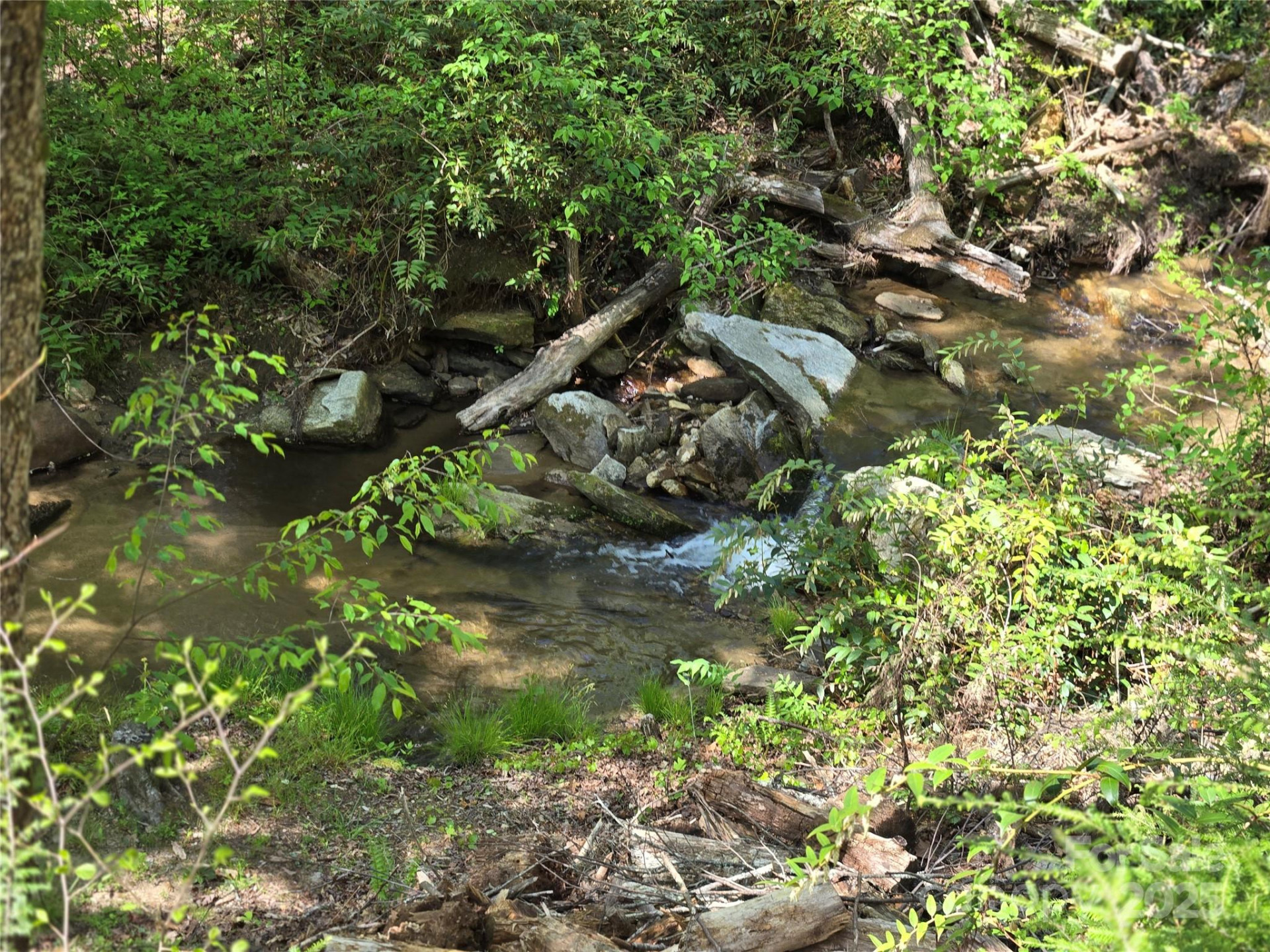 Lot 64 &  65 Walnut Lane - Photo 2