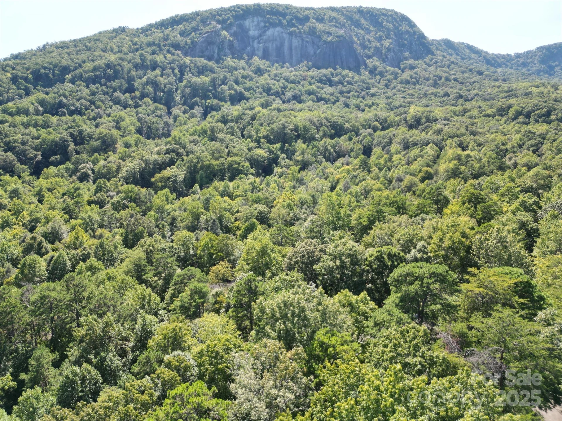 Lot 64 &  65 Walnut Lane - Photo 3